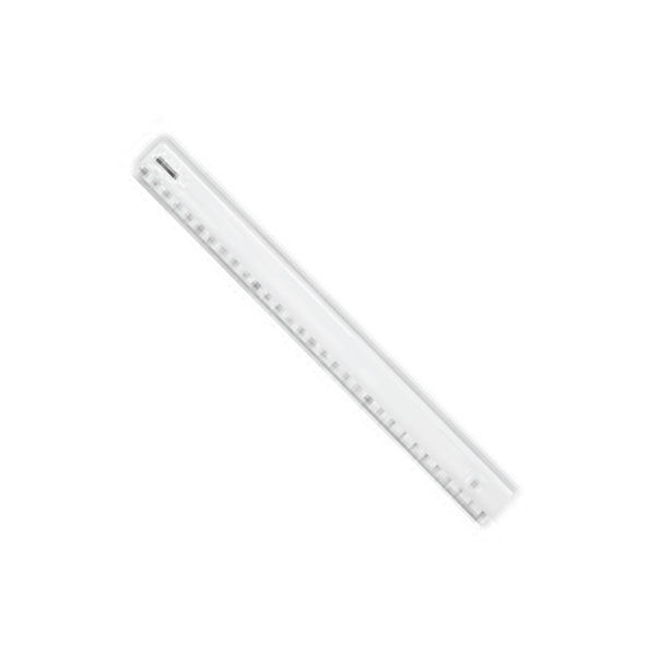Linjal 30cm