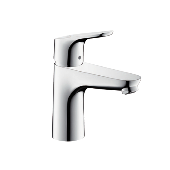 Hansgrohe Focus 100