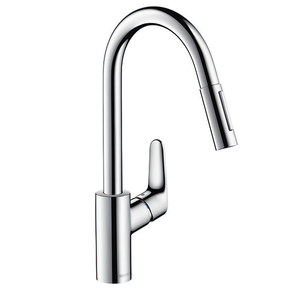 Hansgrohe Focus