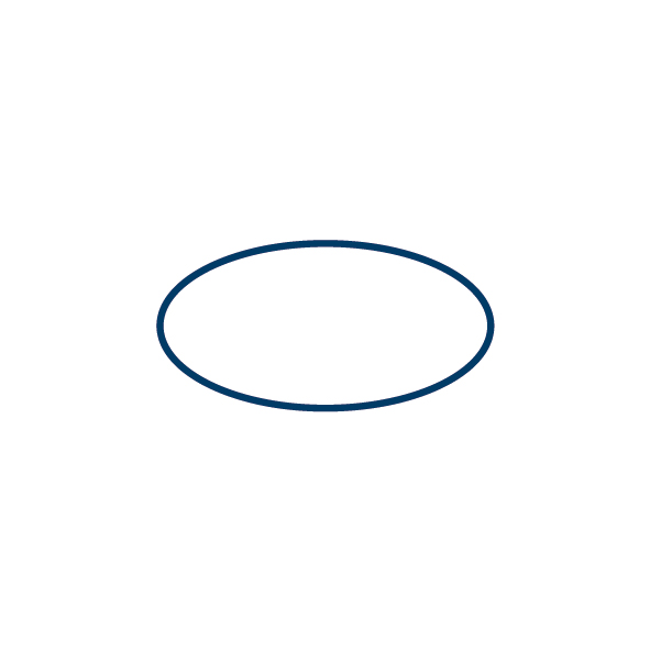 Isiflo O-ring